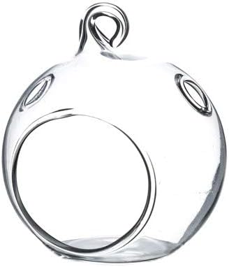 WGV Hanging Terrarium Globe, Width 2.25", Height 2.75", DIY Air Succulent Planter, Clear Glass Vase Orb with Flat Bottom, Candle Holder for Windowsill Outdoor Garden Decor, 6 Pieces Bulk