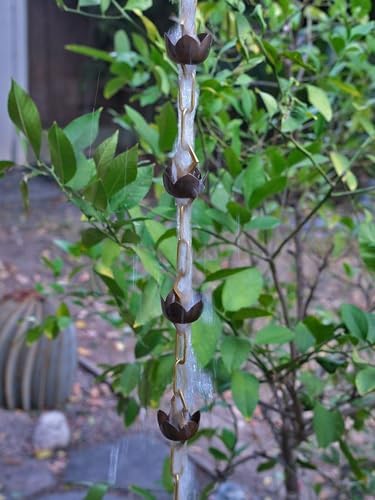 Nutshell Stores Lotus Rain Chain - 18 Feet