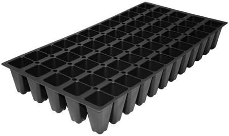 Juniper Blue Pacific - 30 Live Plants - Drought Tolerant Cold Hardy Evergreen Ground Cover