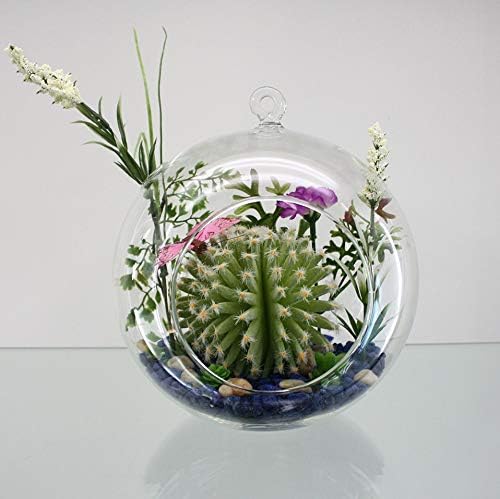 WGV Hanging Terrarium Globe, Width 5", Height 6", DIY Air Succulent Planter, Clear Glass Vase Orb with Flat Bottom, Candle Holder for Windowsill Outdoor Garden Decor, 6 Pieces Bulk