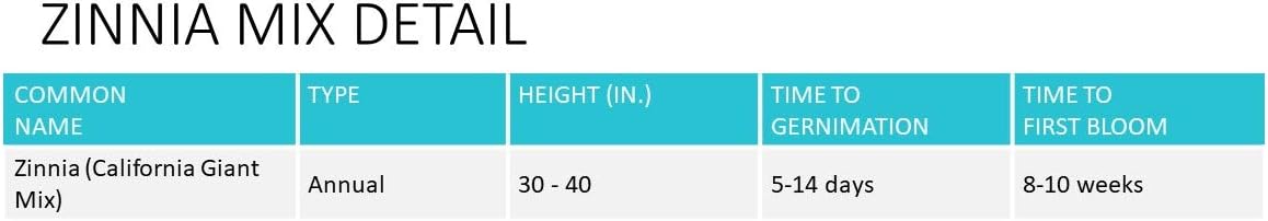 Earth Science Zinnia Wildflower Mix—6lb – 3-in-1 Seeds Plant Food & Soil Conditioner – Non-GMO Vibrant Blooming Flowers for Gardens Low Maintenance Attracts Pollinators – Covers 600 Sq Ft Eco-Friendly