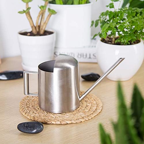 Watering Cans, 10oz/300ml Stainless Steel Long Spout Small Watering Sprinkling Pot, Indoor Outdoor Garden Flower Succulents Plant Watering Cans, Stylish Gardening Decoration(Silver)
