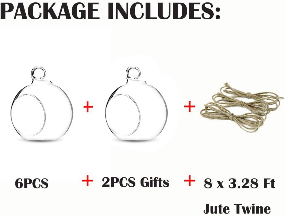 Pcs of 8 Hanging Glass Terrarium Air Plant Candle Holders Home Wedding Party Centerpieces Decor Indoor Outdoor Air Plant Terrariums