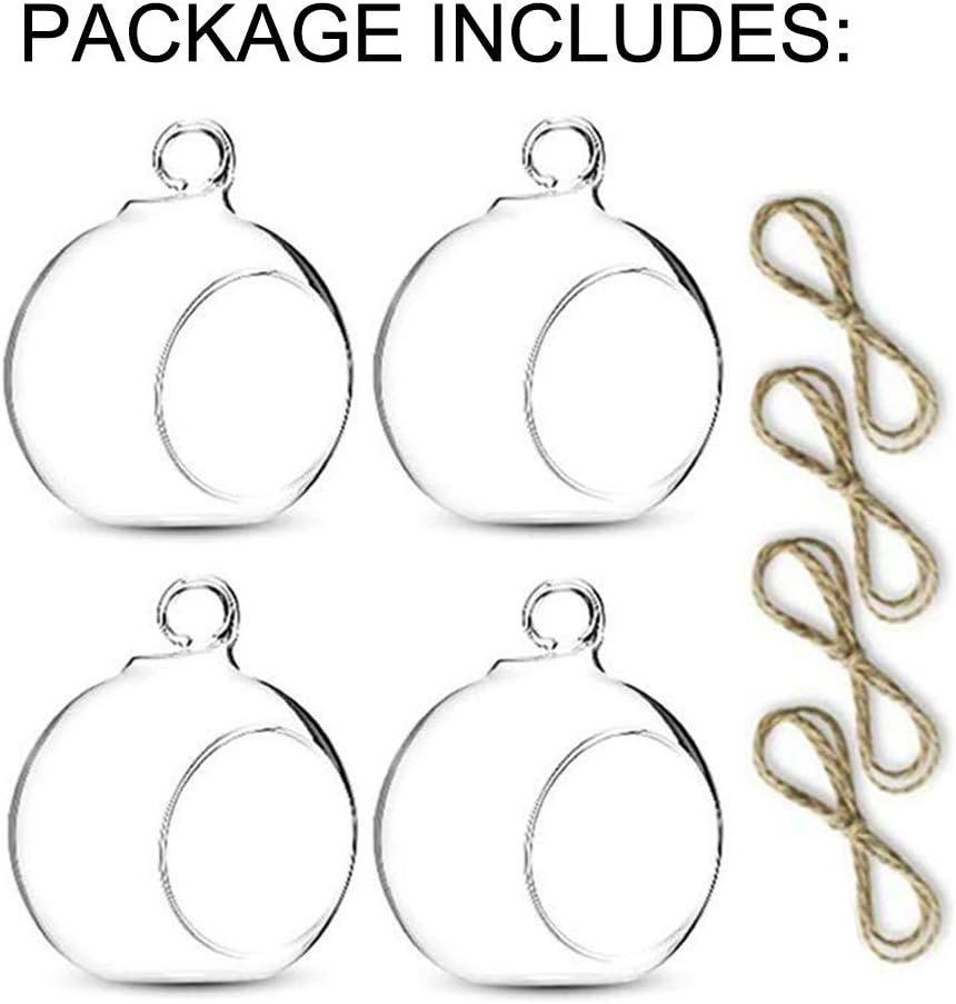 4 Pcs Hanging Glass Terrarium Plants, 4" Diam Globe Planter Terrariums for Succulent