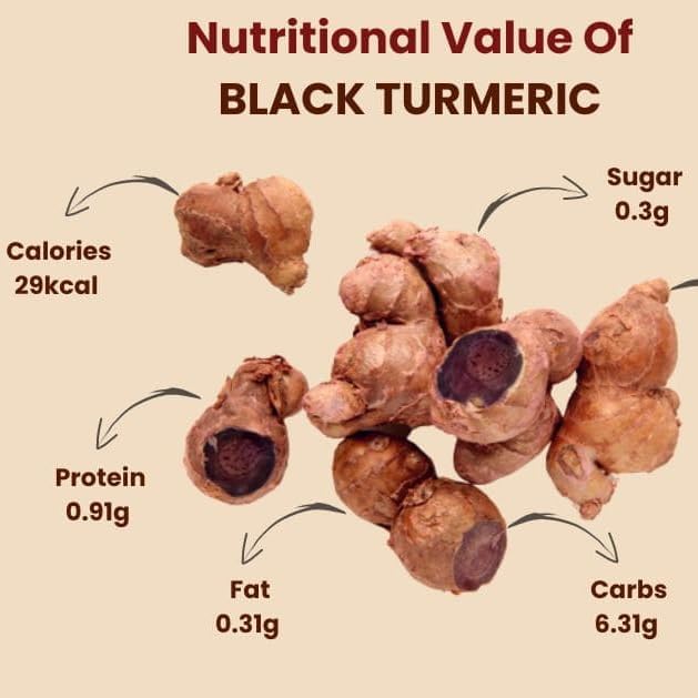 Premium Live Black Turmeric (Curcuma caesia) Plants - Rare Herbal Medicinal Plant, Perfect for Home Gardens (2 Black Turmeric Cups)