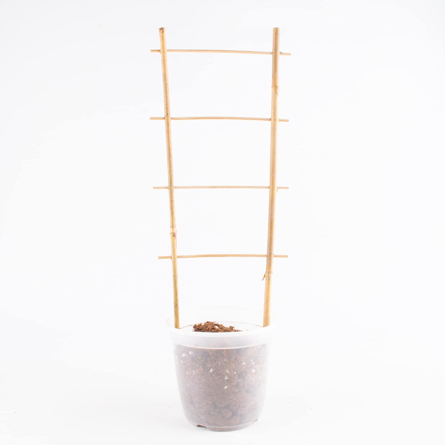 Avalution 10 Pack Natural Bamboo Trellis for Climbing Plants 16" Outdoor Garden Ladder Trellis, Fan -Shaped Plant Support Trellis for Potted Plant