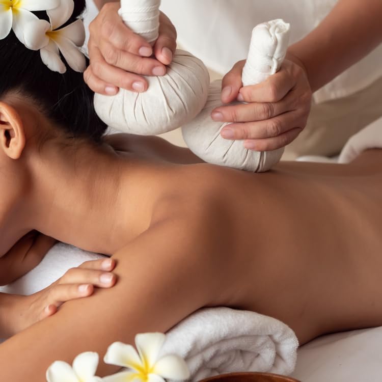 Green Turmeric Live Plant - (Curcuma aeruginosa) - Rare Medicinal Herb, Vibrant Pink Flowers, Ideal for Tropical Gardens (4 Green Turmeric Bags)