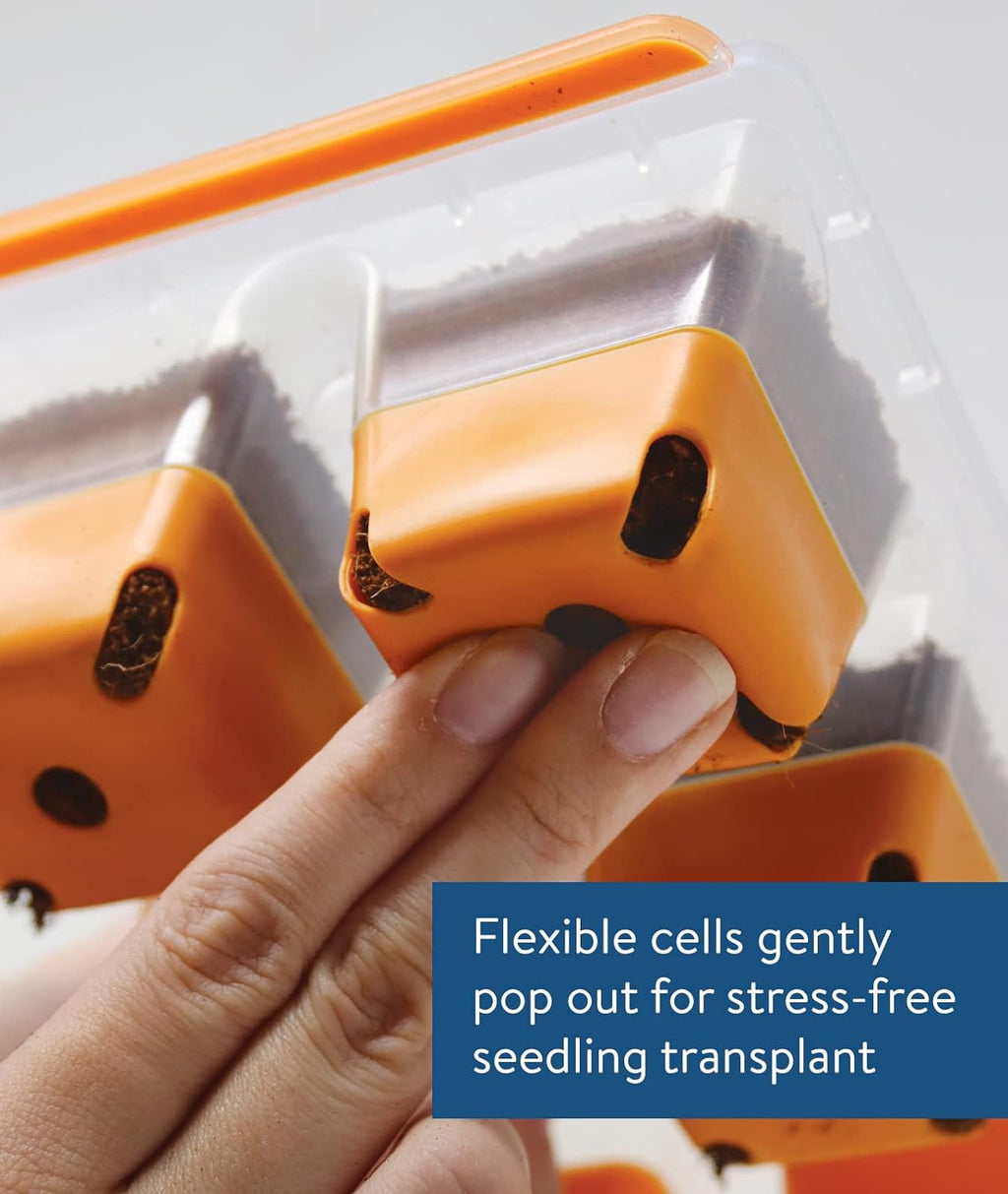 Burpee SuperSeed Windowsill Seed Starting Tray| 8 XL Cell| Seed Starter Tray|Reusable & Dishwasher Safe| for Starting Vegetable Seeds, Flower Seeds & Herb Seeds| Window Garden Seed Starting Kit| Green