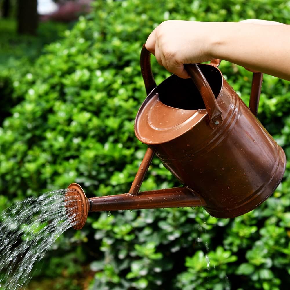 Metal Watering Can for Outdoor and Indoor Plants, Watering Can Decor, 1 Gallon (1 Gallon Copper)