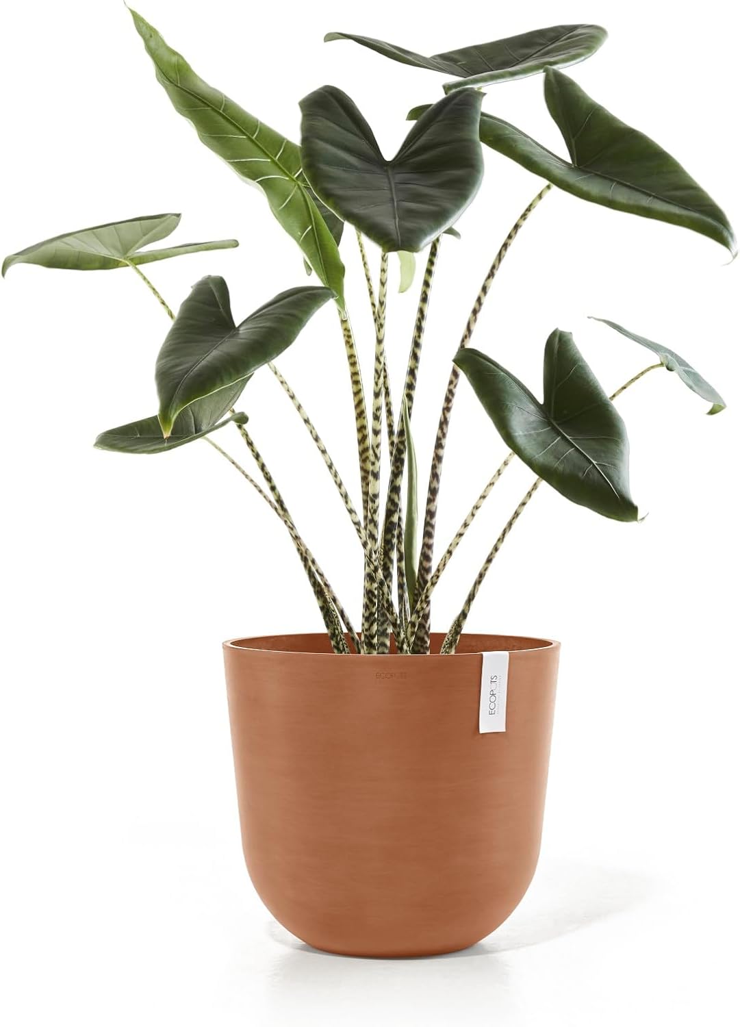 Ecopots Oslo Durable Modern Round Indoor/Outdoor Recycled-Based Composite Flower Pot Planter, Terracotta Color, 17.75"