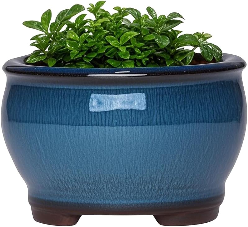 Ceramic Planter Pots with Drainage Hole, Small Flower Pot for Succulents, Orchid, Bonsai Plants, Indoor Outdoor Garden Windowsill Shelf Decor (Blue)