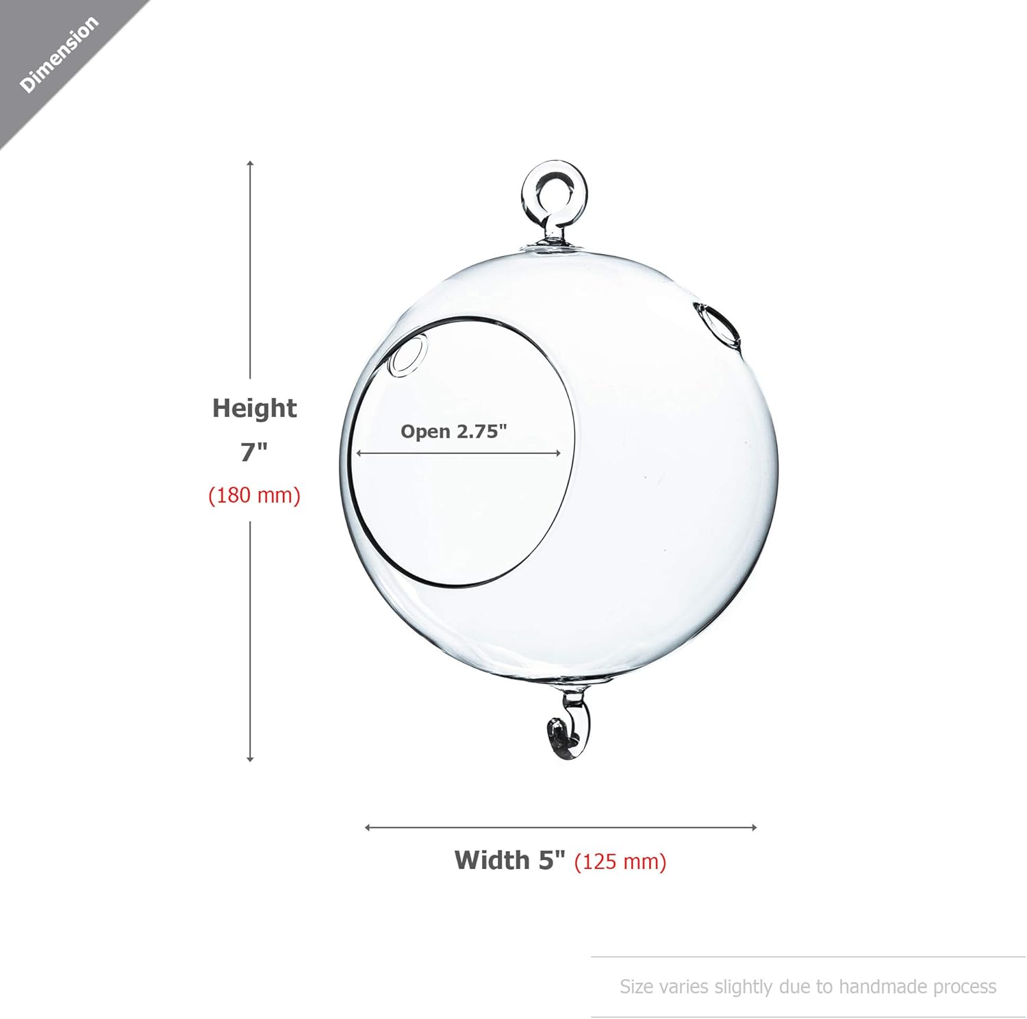 WGV Hanging Terrarium Globe, Width 5", Height 7", Double Hook, DIY Air Succulent Planter, Clear Glass Vase Orb, Candle Holder for Windowsill Outdoor Garden Decor, 1 Piece