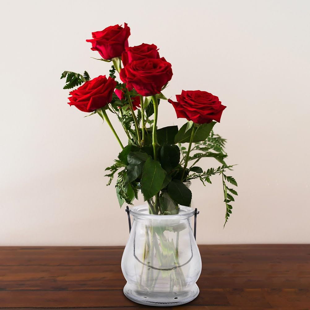 12PCS Hanging Glass Candle Holder: Glass Air Plant Succulent Vase Hanger Plant Terrariums Orbs Air s for Party Wedding Centerpiece