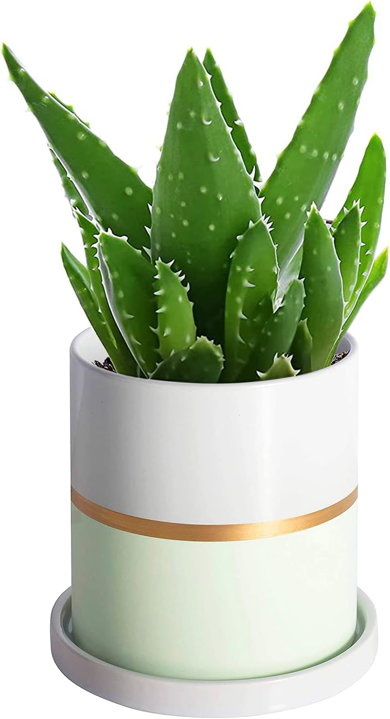 Ekirlin 4 inch Plant Pot - Ceramic Flower Planters Indoor - Modern Succulents Containers with Drain Hole Saucer, Decorate Home, Office & Outdoor (Green)