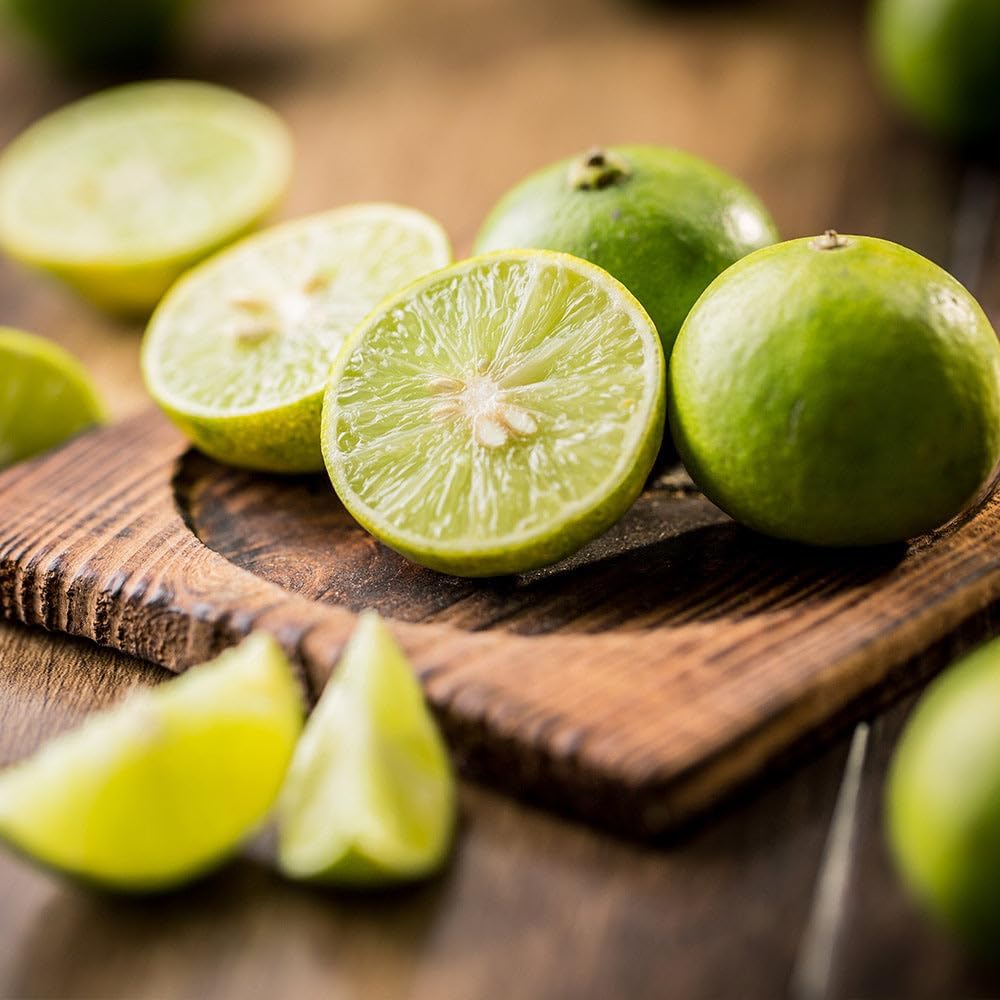 Brighter Blooms - Key Lime Tree, 5-6 ft. - No Shipping to AL, AZ, CA, FL, GA, LA, MS, OR, TX