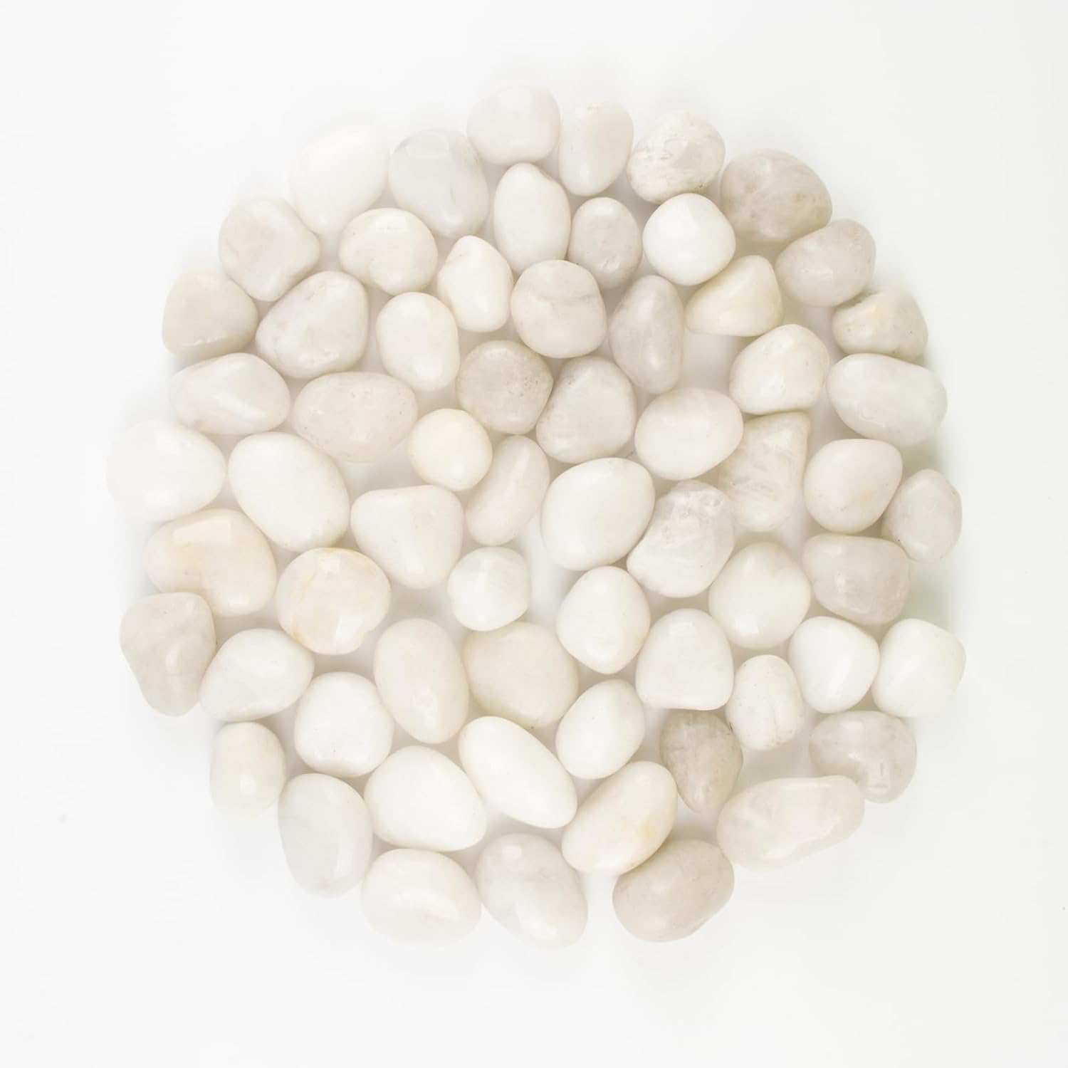 River Rocks - Natural Polished White Pebbles, 0.5-1 inch, 40 lbs - Perfect for Indoor Planting, Vase Filling, Aquarium Decoration, and Garden Landscaping (White, Weight: 40 LB)