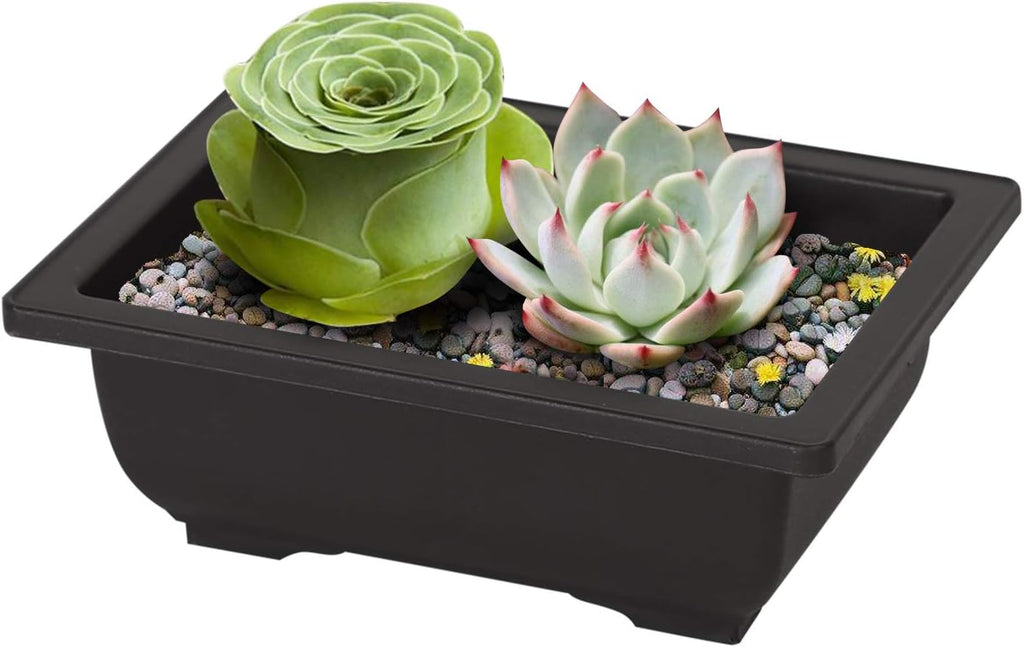 KINJOEK 20 PCS 6.5 Inch Bonsai Training Pots, Rectangular Plastic Bonsai Pots, Flower Succulent Pots Container for Garden, Indoor, Home Decorative
