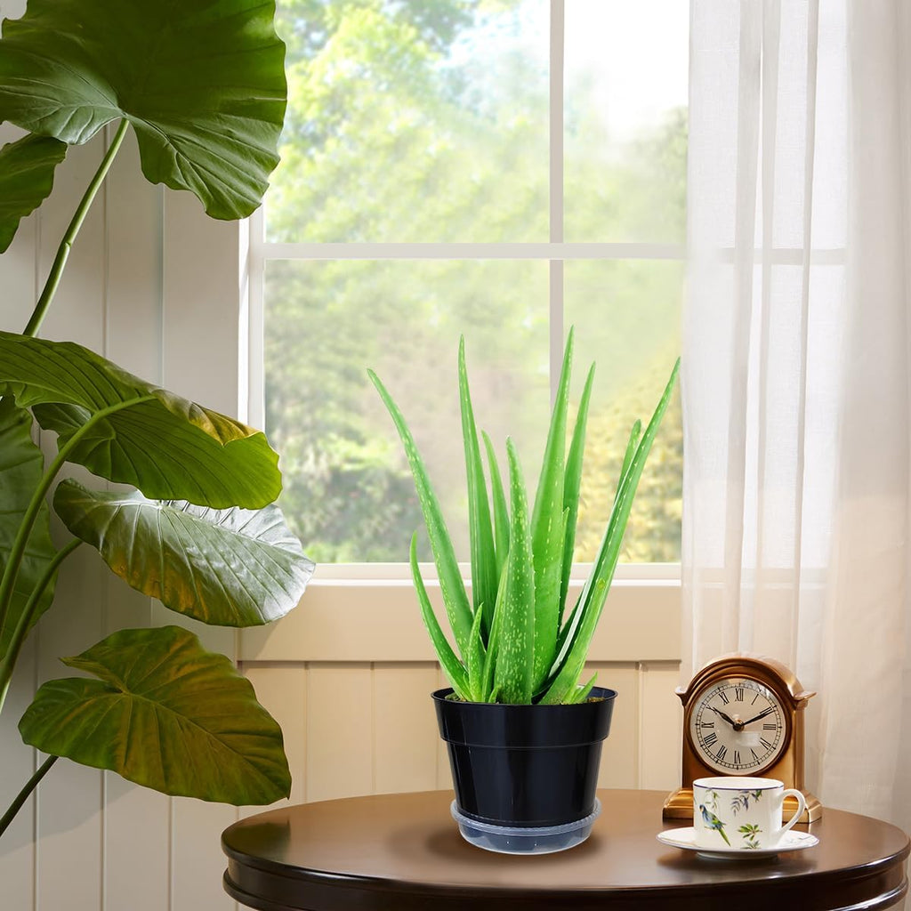 12 Pack Plant Pots, 8 Inch Plant Planter with Clear Saucer, Plastic Pots for Plants Indoor and Out Door Such as Strawberry, Herb and Flowers (Black)