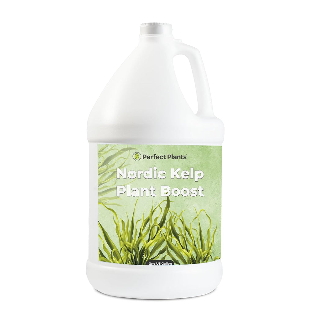 Nordic Kelp Boost Liquid - Perfect Plants (1 Gallon)