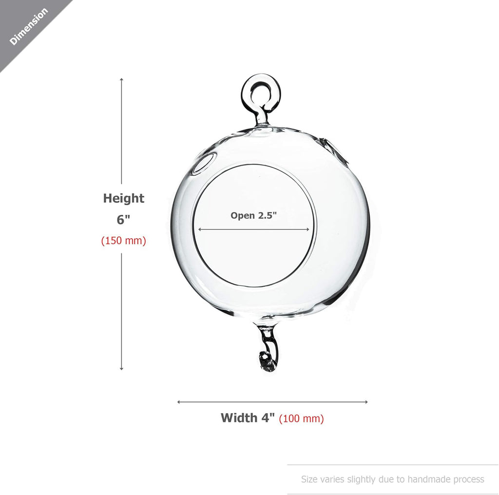 WGV Hanging Terrarium Globe, Width 4", Height 6", Double Hook, DIY Air Succulent Planter, Clear Glass Vase Orb, Candle Holder for Windowsill Outdoor Garden Decor, 1 Piece