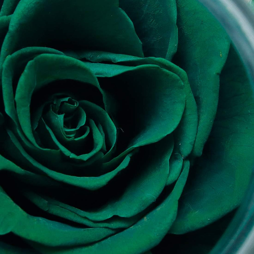 Preserved Real Roses with Colorful Mood Light Wishing Bottle,Eternal Rose，Never Withered Flowers,for Bedroom Party Table Decor, Christmas Decorations,a Gifts for Women 4.3inch1pcs (Green)