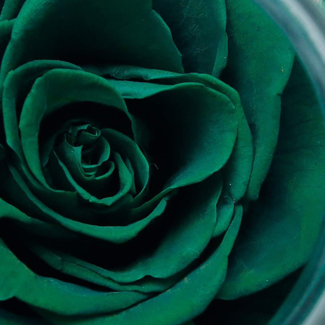 Preserved Real Roses with Colorful Mood Light Wishing Bottle,Eternal Rose，Never Withered Flowers,for Bedroom Party Table Decor, Christmas Decorations,a Gifts for Women 4.3inch1pcs (Green)