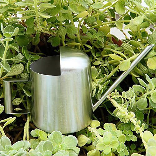 Watering Cans, 10oz/300ml Stainless Steel Long Spout Small Watering Sprinkling Pot, Indoor Outdoor Garden Flower Succulents Plant Watering Cans, Stylish Gardening Decoration(Silver)