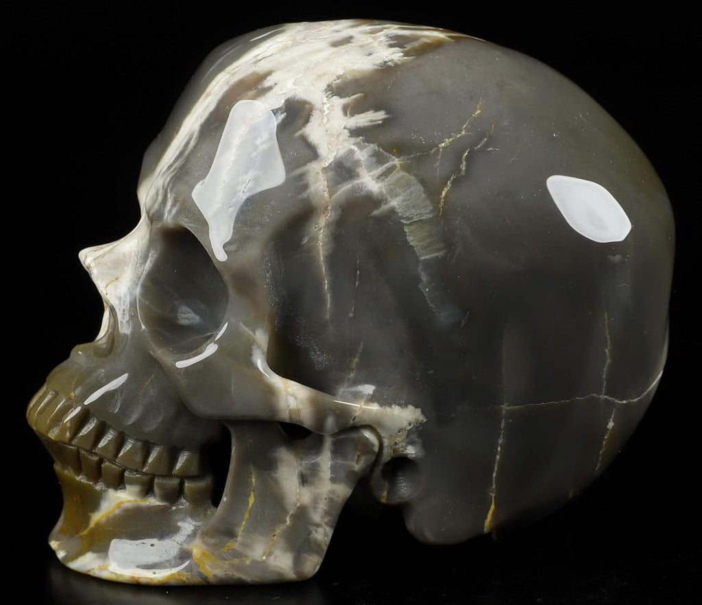 Skullis 5.0" African Petrified Wood Super Realistic Crystal Carved Crystal Skull. Hand Carved Gemstone Fine Art Sculpture.2260 Z8