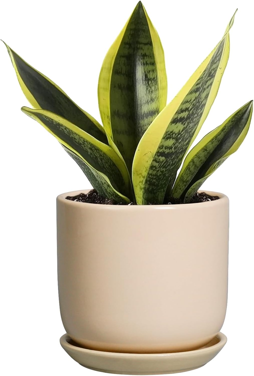 Ceramic Flower Pot 5 Inch - Round Succulent Planter for Indoor Plants with Drainage Hole and Saucer, Patio Room House Office Home Decor, Yellow