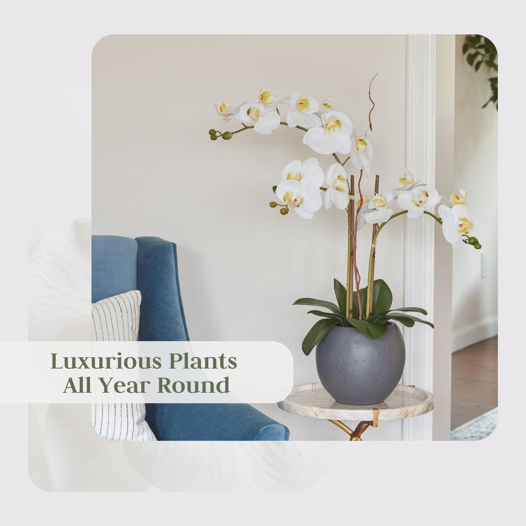 Faux White Orchid Plant, Premium Artificial Indoor Flower Display Stands 25-Inches with Beautiful Sculptural Blooms and Foliage That Lasts Forever, Grey Planter Pot Included