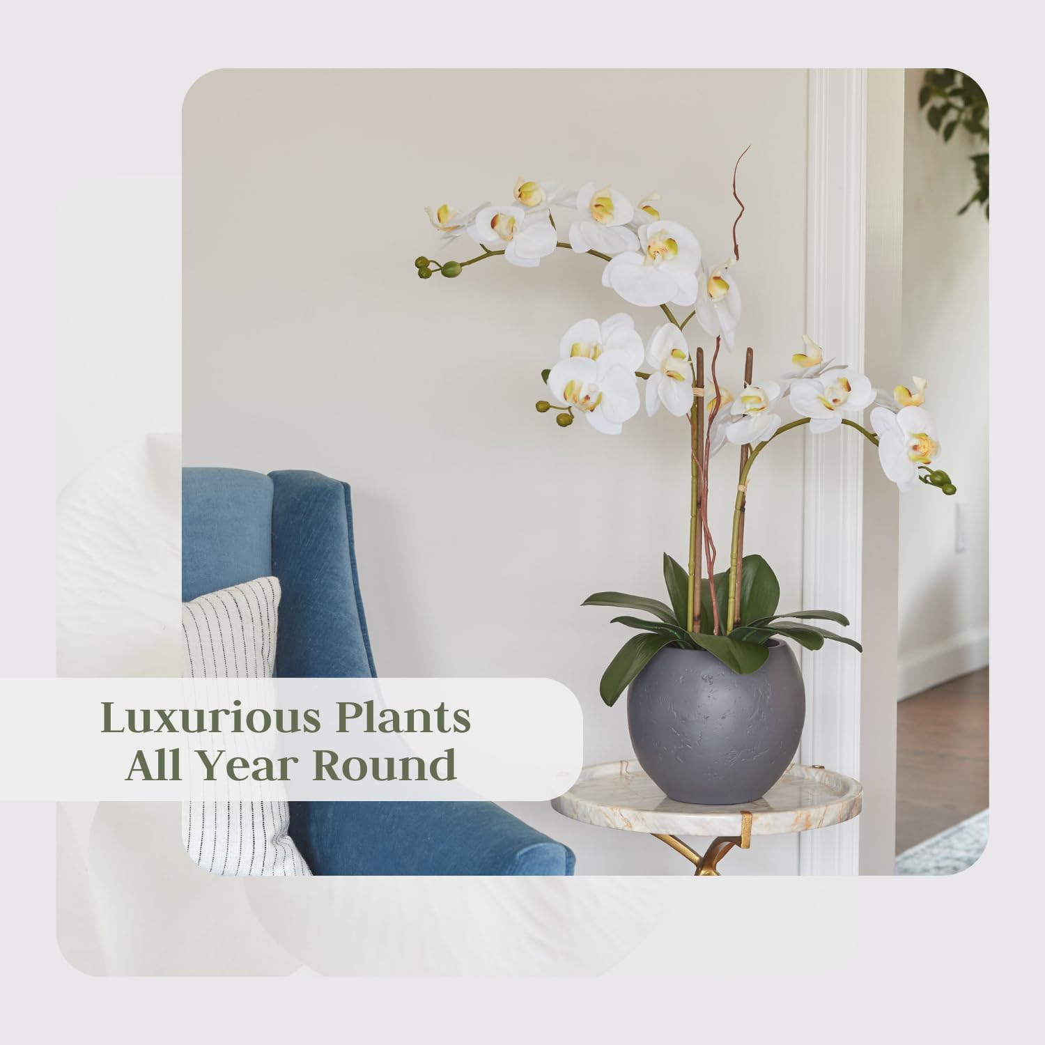 Faux White Orchid Plant, Premium Artificial Indoor Flower Display Stands 25-Inches with Beautiful Sculptural Blooms and Foliage That Lasts Forever, Grey Planter Pot Included