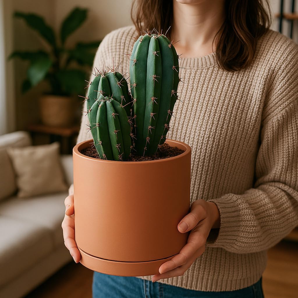 D'vine Dev Terracotta Pots for Plants, 8.3 Inch 10 Inch 12 Inch, Round Cylinder Planter Pot with Drainage and Saucer, 40-T-D-0