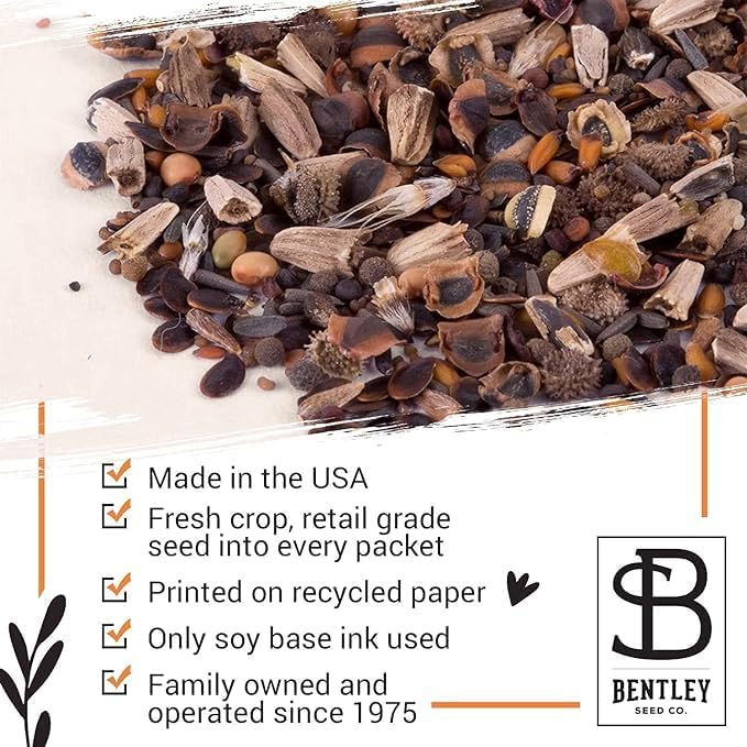 Bentley Seed Co. | Bee Kind Pollinator | Beautiful Bee Art | Environmental Favors Cards for Guests Seed Packets | Pollinator Wildflower Mix Seed Packets | Eco-Friendly Hand Out Gift | 25 Pack