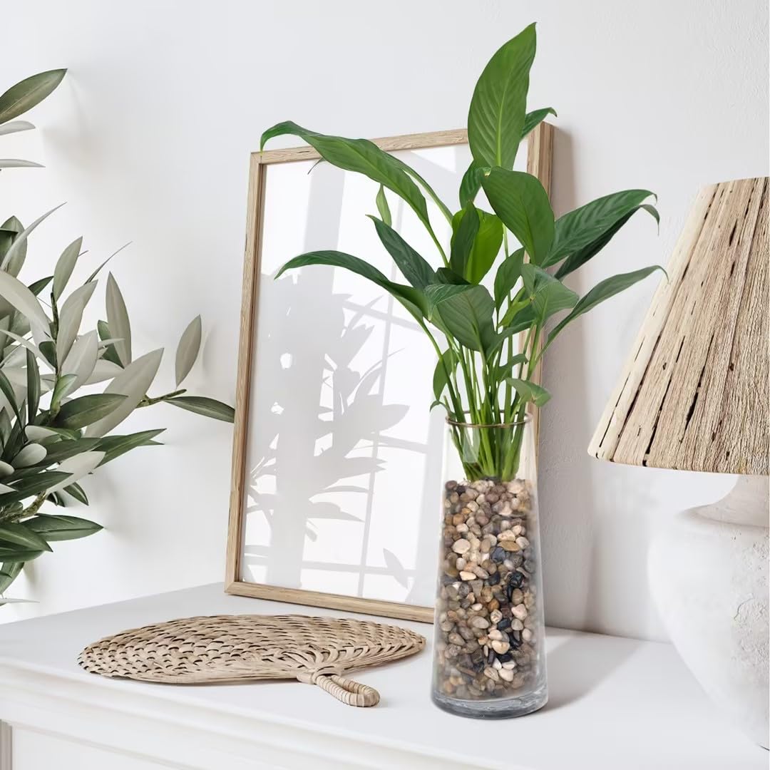 10 lbs Pebbles for Indoor Plants, Succulent, Bamboo, Vase, 3/8" Plant Rocks for Pots Indoor, Small River Rocks Decorative Pea Gravel, Highly Polished