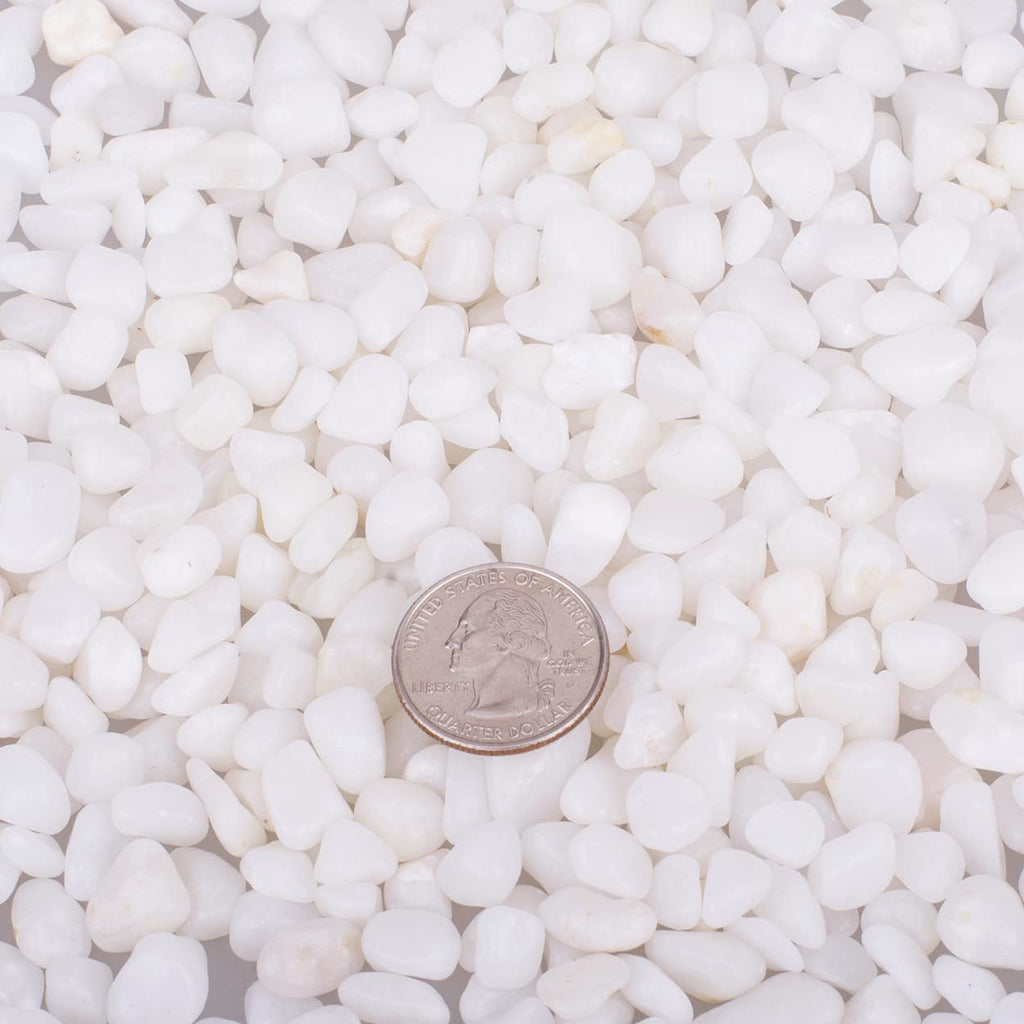HOT SEAL 6.0 LB White Polished Pebbles 3/8", Natural Decorative Smooth River Rocks, Gravel Size White Small Pebble Stone for Succulent, Bonsai, Potted Plants, Landscaping, Fairy Garden, Aquarium