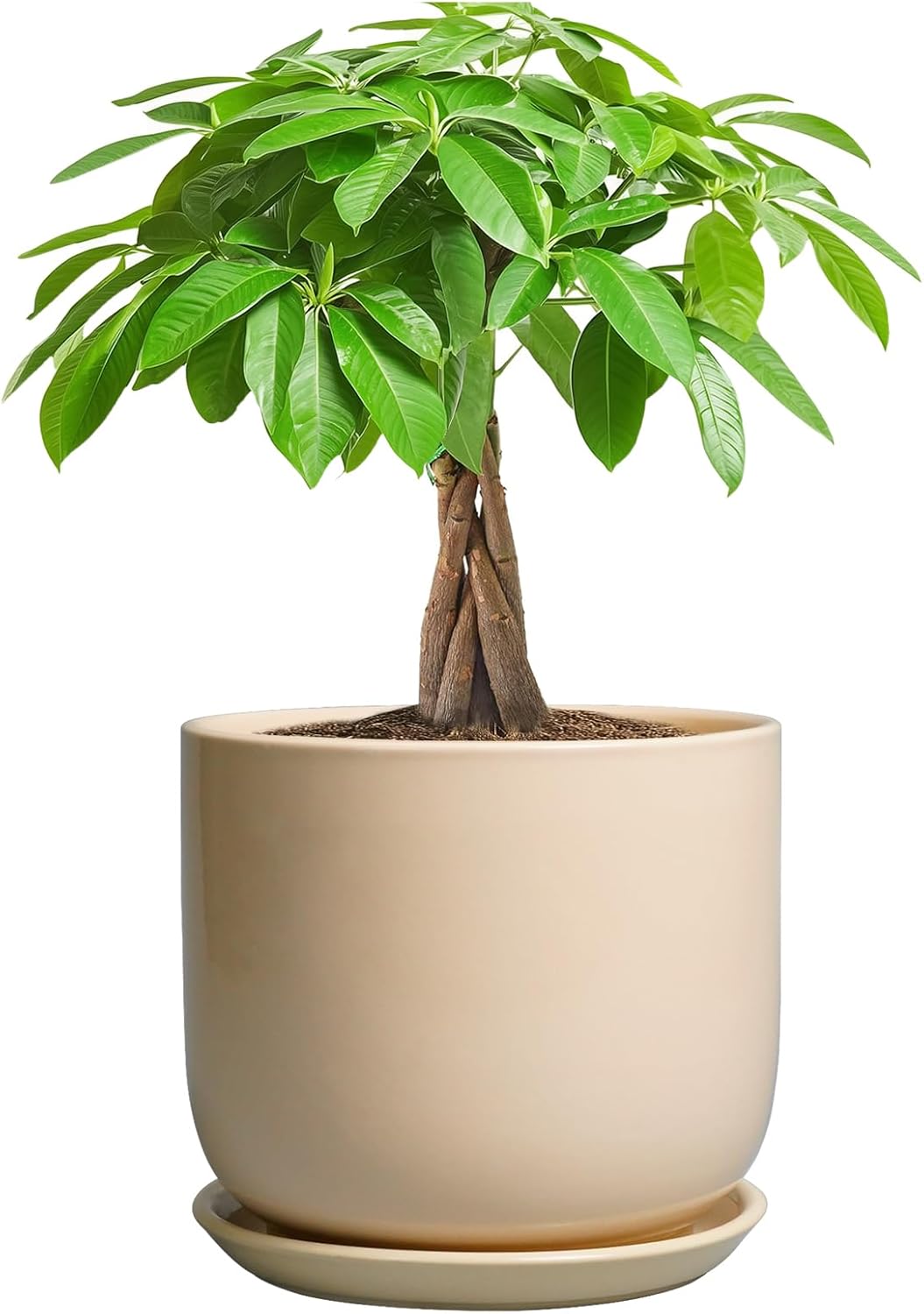 Ceramic Plant Pot - 7 Inch Mid Century Round Ceramic Planter for Indoor Plants with Drainage Hole and Saucer, Modern Home Decor, Yellow