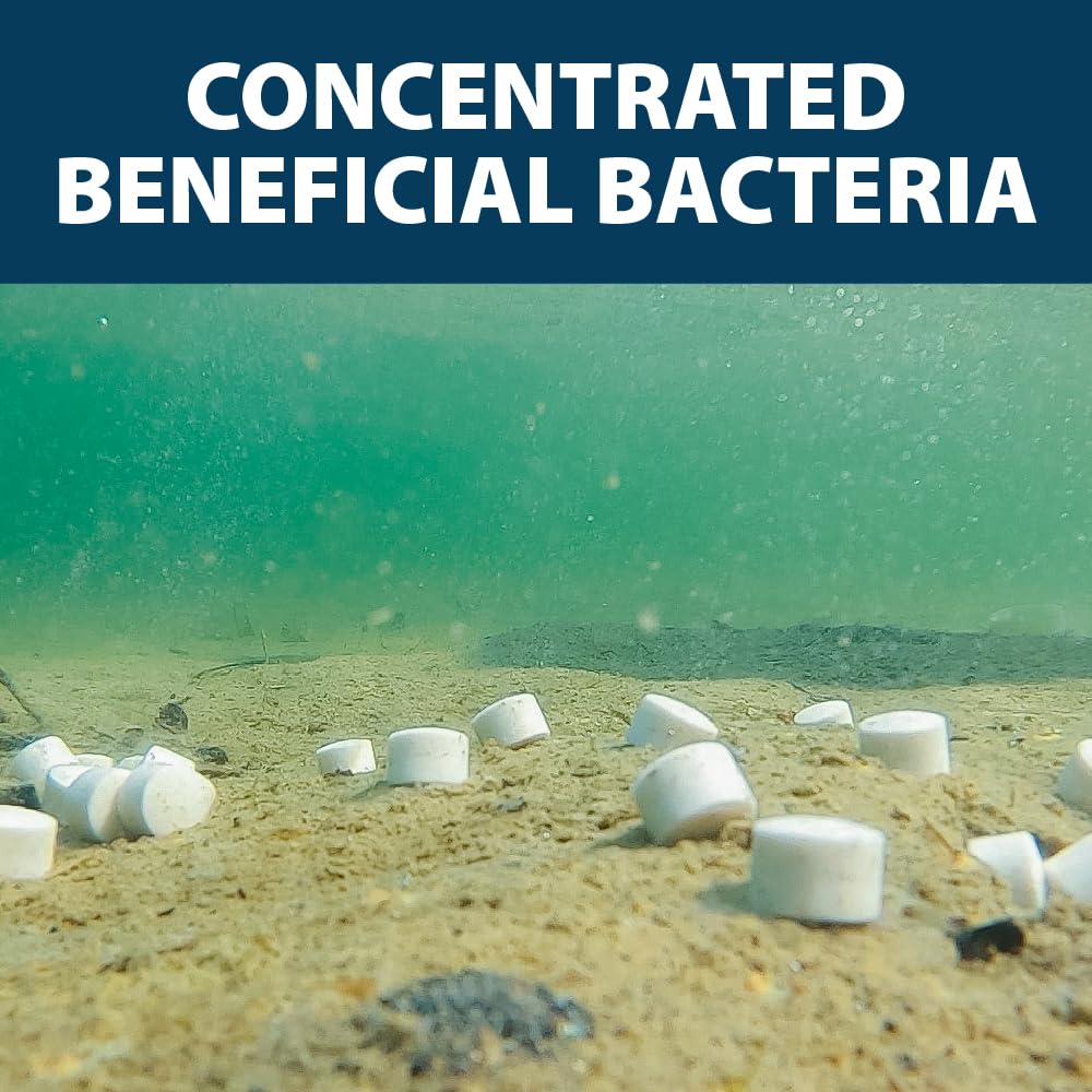 Airmax MuckAway Natural Beneficial Bacteria for Outdoor Ponds & Lakes, Muck, Sludge & Noxious Odor Solution, Easy to use Enzyme Tablets, Cleaner Beach & Shoreline, Fish, Pet & Wildlife Safe, 48 Scoops