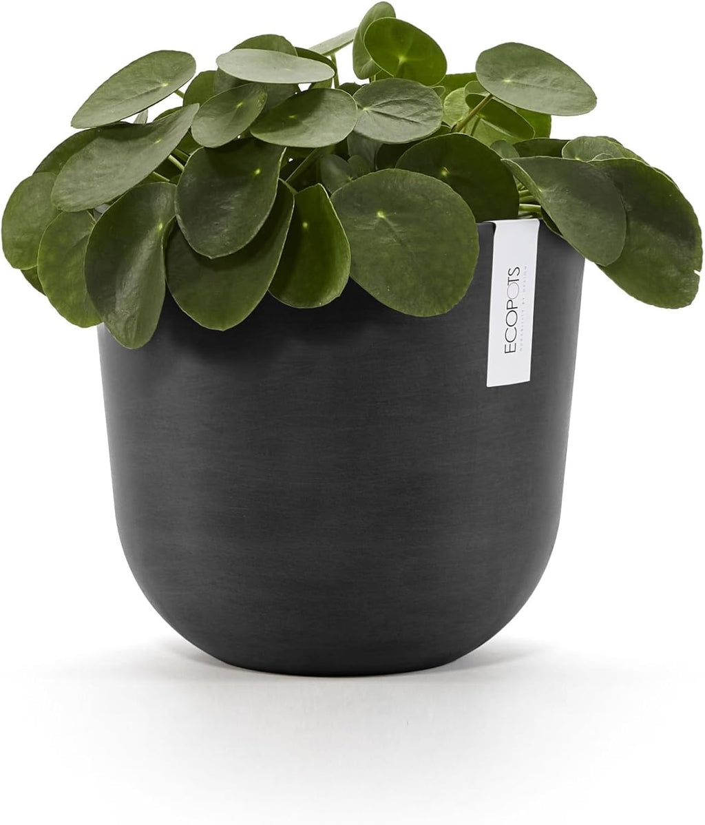 Ecopots Oslo Durable Modern Round Indoor/Outdoor Recycled-Based Composite Flower Pot Planter, Dark Grey, 10"