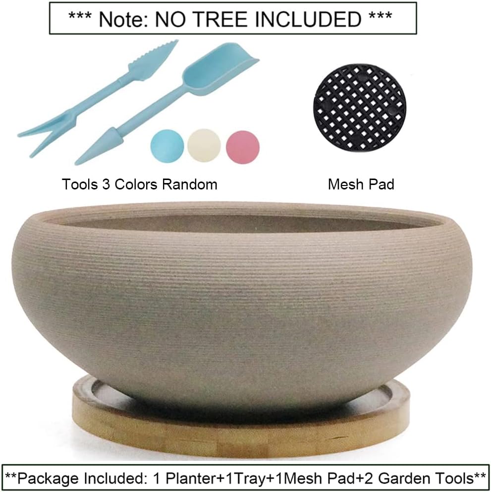 MUZHI Round Unglazed Ceramic Bonsai Pot with Bamboo Tray, Large Rough Pottery Succulent Planter with Drainage Hole 8 inch …