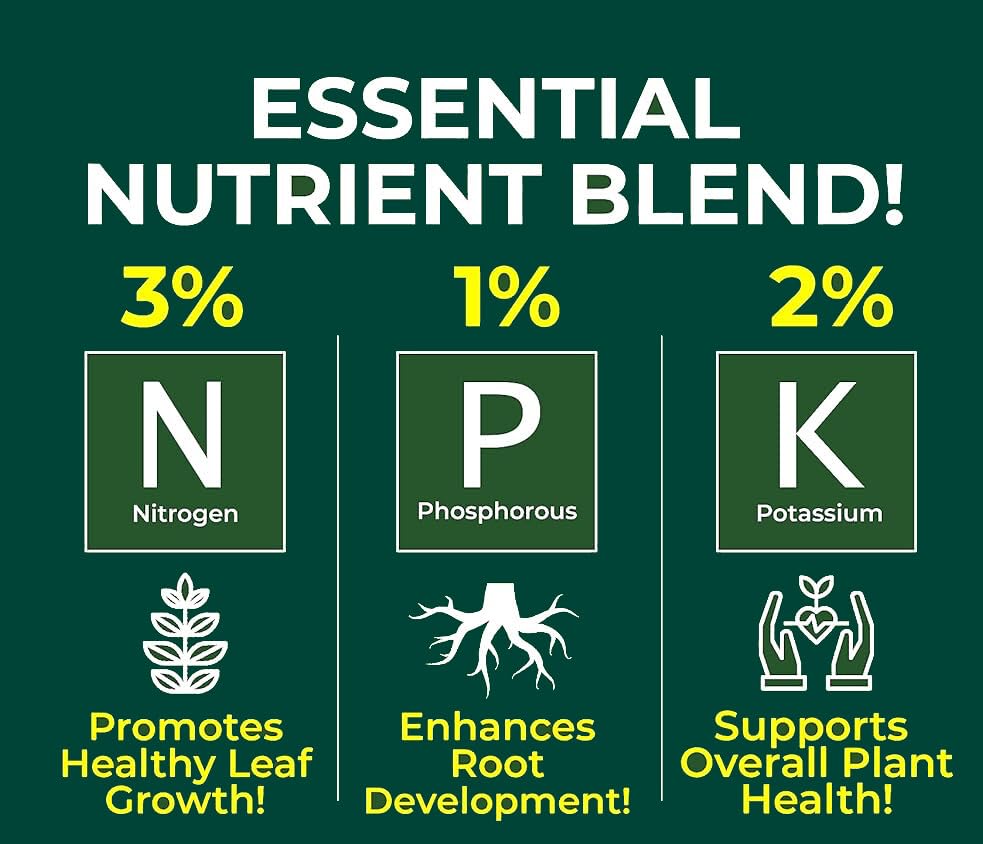 Professional Hoya Spray Fertilizer Mist for Home Gardening | 3-1-2 Gentle Blend Mist for Healthy Leaves & Growth | Essential Nutrients for Hoya Plants - 8oz