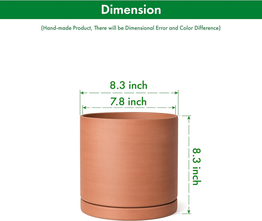 D'vine Dev Medium 8 Inch Terracotta Plant Pot with Drainage Hole and Saucer, Round Cylinder Planter Pot for Indoor Plants, 40-X-A-4