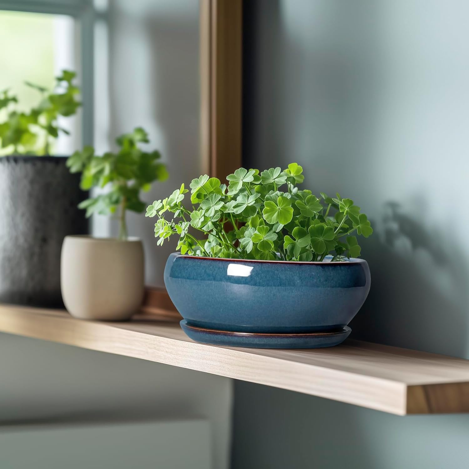 SQOWL Bonsai Pots - 8 Inch Ceramic Succulent Pots with Drainage Hole and Saucer, Round Shallow Planter for Indoor Outdoor Plants Flowers, Ceramic Planter Bowl, Room Decor, Gardening Gifts, Blue