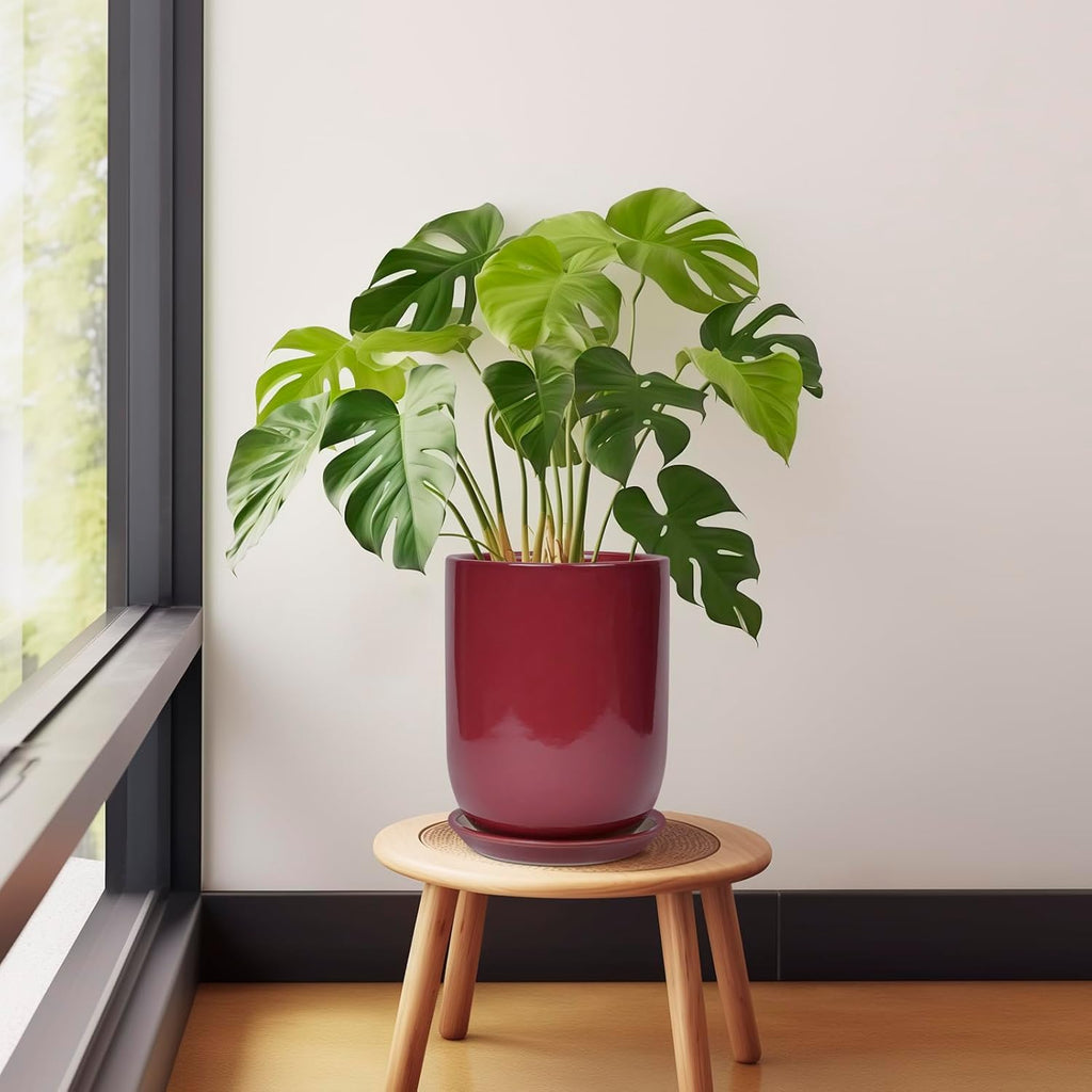 Ceramic Pot for Plants - 8 Inch Plant Pot Indoor with Drainage Hole and Saucer Cylinder Flower Pot for Indoor Outdoor Plants Home Patio Office Decor Red