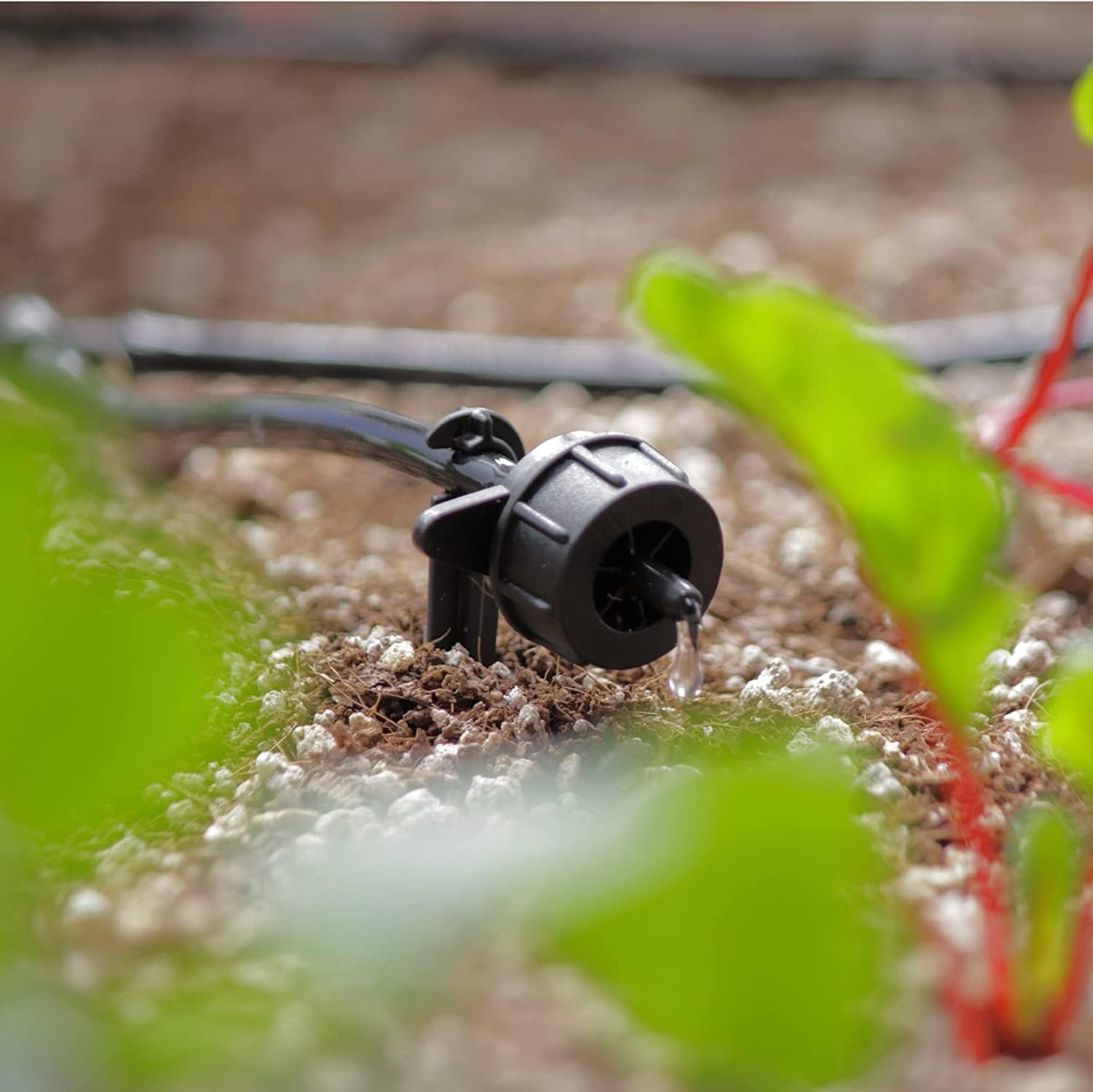 AEO Solar-Powered Automatic Watering Drip Irrigation System, 50 Drippers, 155 ft for Balcony Greenhouse Raised Garden Bed