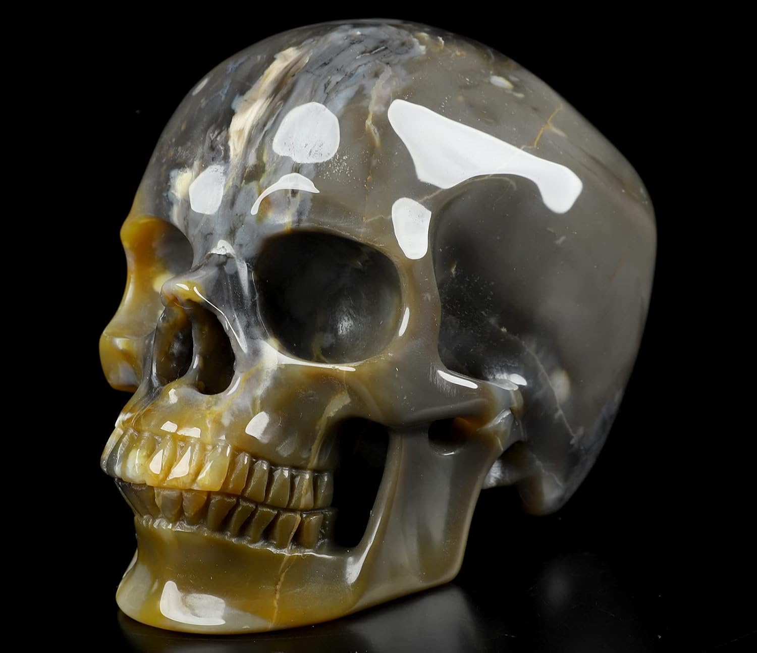 Skullis 5.0" African Petrified Wood Super Realistic Crystal Carved Crystal Skull. Hand Carved Gemstone Fine Art Sculpture.2261 Z8