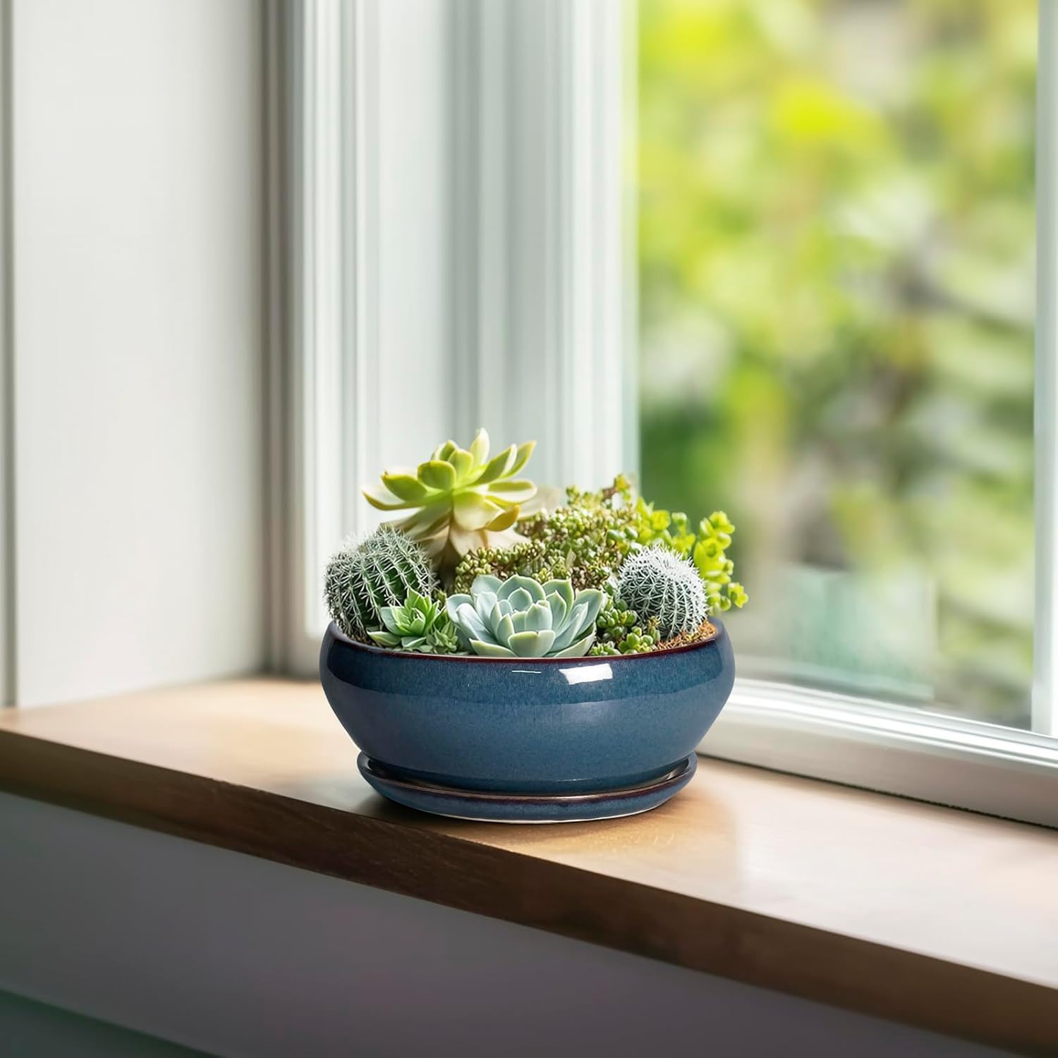 SQOWL Succulent Pots - 6 Inch Ceramic Bonsai Pots, Shallow Planter with Drainage Hole and Saucer, Modern Round Planter for Indoor Plants Outdoor, Flower Cactus Pot, Home Decor, Plant Lover Gift, Blue