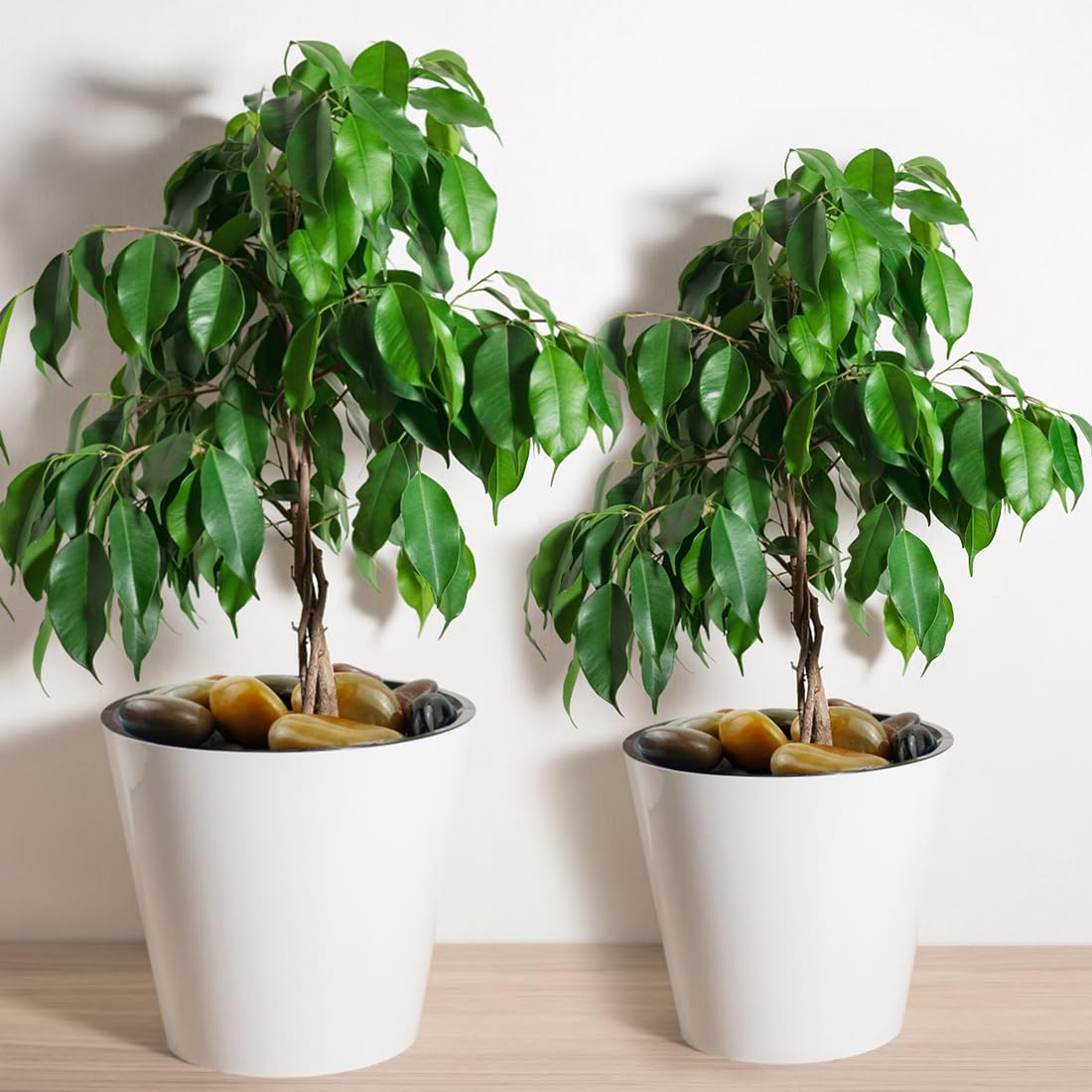 20lbs Mixed Color Outdoor Decorative Stones, 2-3 Inch High Polished River Rocks for Indoor Plants, Large Pebbles for Vase Filler Fish Tank Aquariums Landscaping Garden