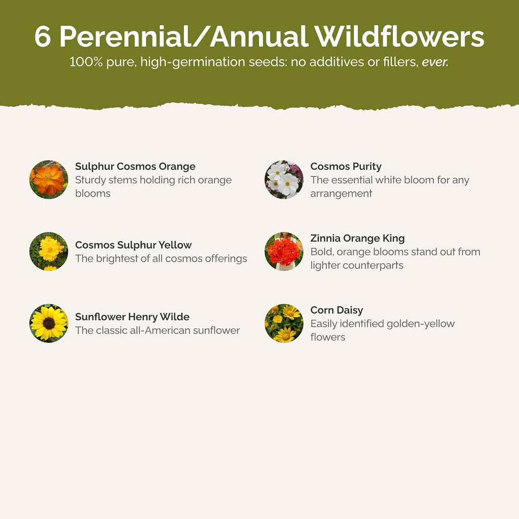 Eden Brothers Sunset Flower Mixed Seeds for Planting, 1/4 lb, 120,000+ Seeds with Cosmos, Zinnia, Sunflower, Corn Marigold, Attracts Pollinators, Plant in Spring or Fall, Zones 3, 4, 5, 6, 7, 8, 9, 10