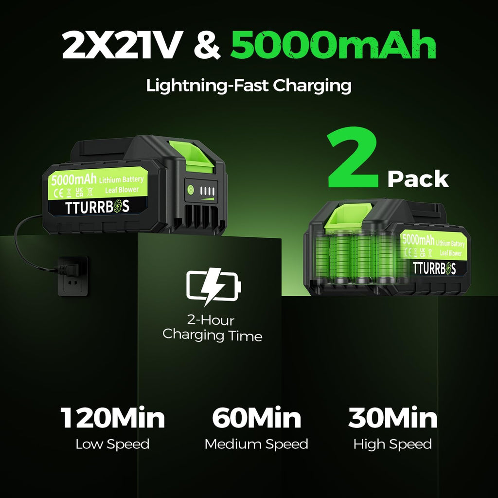 Leaf Blower Cordless - 650CFM Brushless Motor Leaf Blower with 6-Speed Control & Ergonomic Handle - Includes 2 x 5.0Ah Batteries & Fast Charger - Blowers for Lawn Care, Yard, Patio, Leaves, Snow, Dust