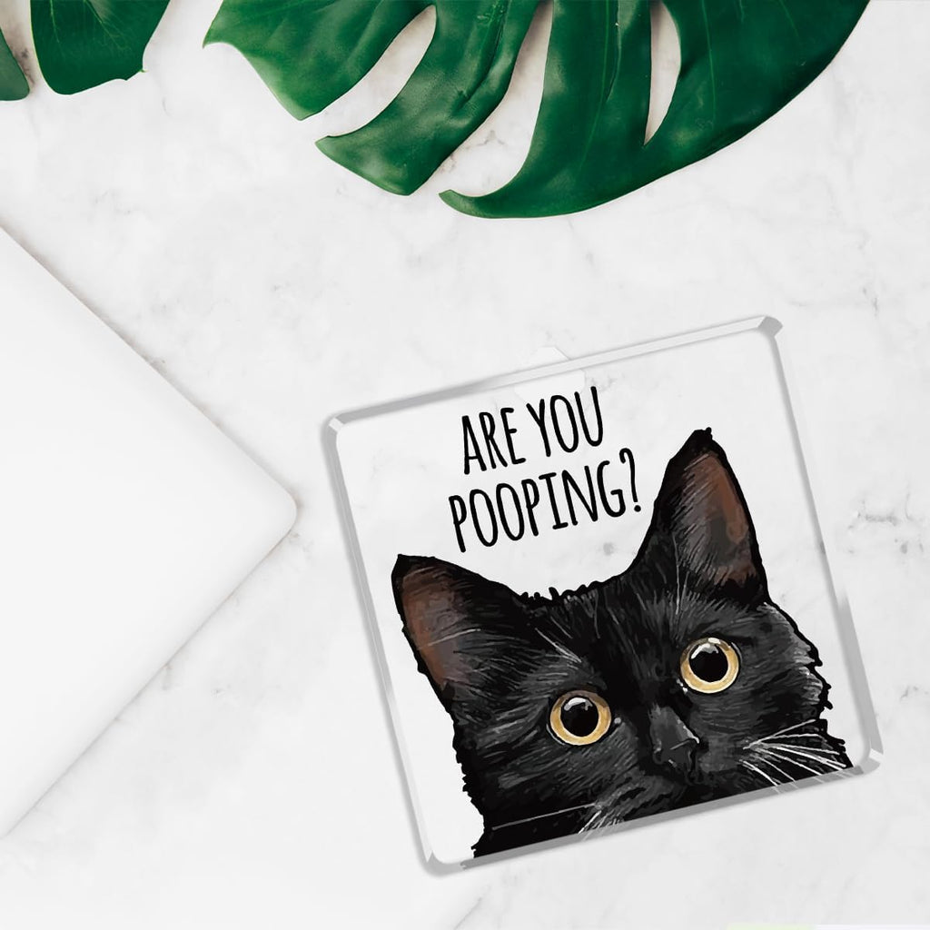 Are You Pooping Funny Sign，Black Cat Decor, Cat Bathroom Acrylic Decor，Home Decor Bathroom Creative Gift Cat Gifts for Women Cat Lovers，Funny Decorate Retro for Home Toilet